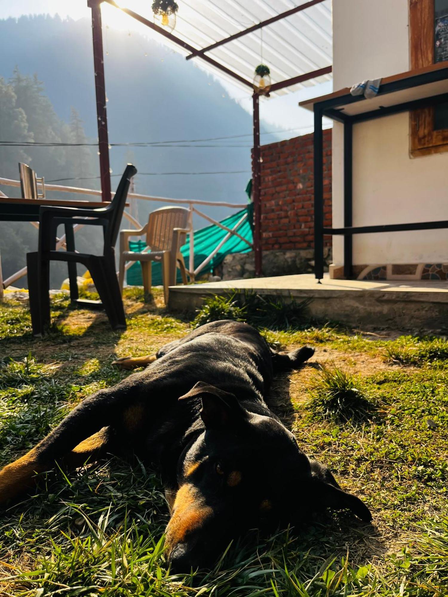 Hotel Adinova Kasol Bagian luar foto