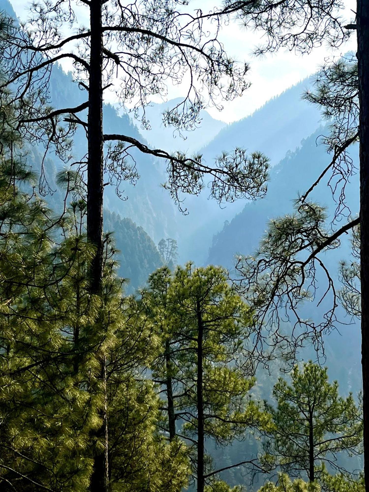 Hotel Adinova Kasol Bagian luar foto